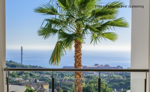 ventana pasillo Hill palmera (1280x768)
