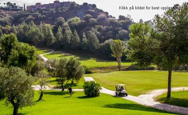 C1_BOTANIC_GOLF_BENAHAVIS_18_10_16_44980