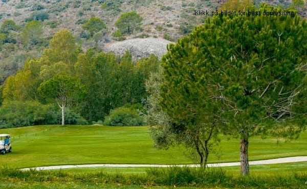 C4_BOTANIC_GOLF_BENAHAVIS_18_10_16_45213