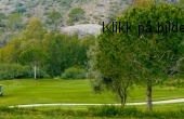 C4_BOTANIC_GOLF_BENAHAVIS_18_10_16_45213
