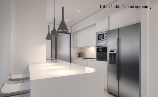 A_kitchen_american fridge