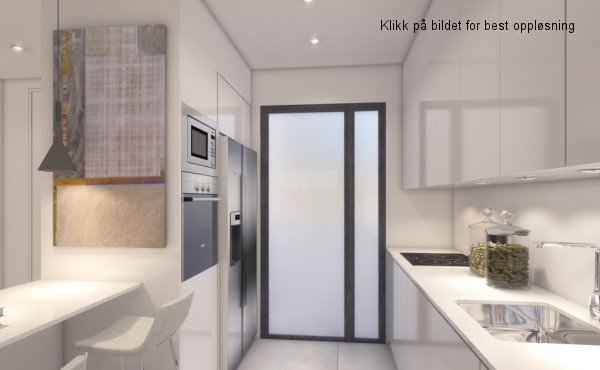 B_kitchen_american fridge