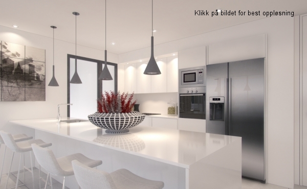 C_kitchen_american fridge