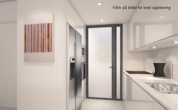 E_kitchen_american fridge