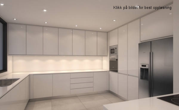 F_kitchen1_american fridge