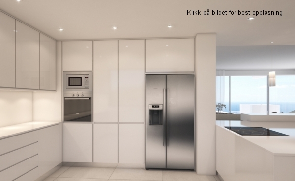 F_kitchen2_american fridge